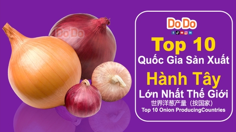 Top 10 Quốc Gia Sản Xuất Hành Tây Lớn Nhất Thế Giới