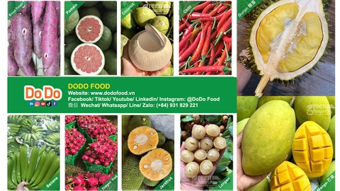 越南农产品出口中国- Vietnamese agricultural products exported to China