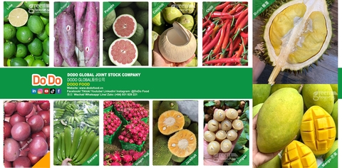 Từ 1/7, nông sản chủ lực được truy xuất nguồn gốc trên hệ thống số