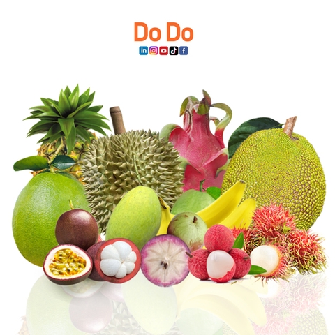 Vietnam's Best Tropical Fruits Guide