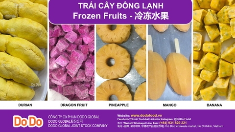 Vietnam's Frozen Fruit Export Industry Overview