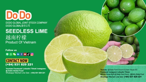 Vietnam Lime Export Industry Overview