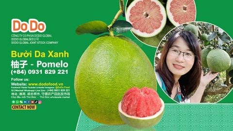 越南柚子出口- Vietnam Pomelo exporting