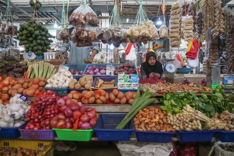 Malaysia Agriculture Wholesale Market Overview