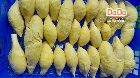 Frozen Durian