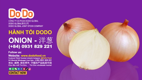 Hành tây Đà Lạt