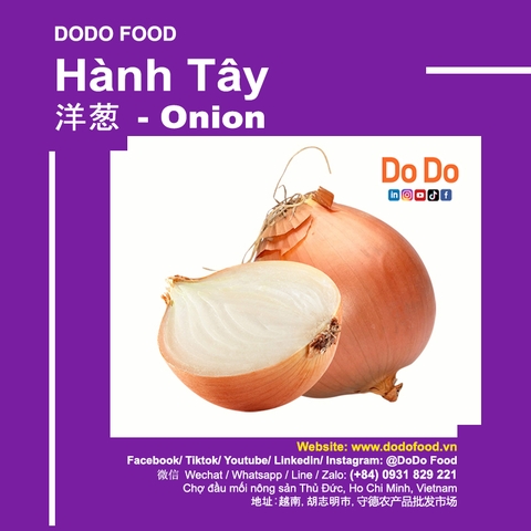 Cách phân biệt hành tây Việt nam và Trung Quốc