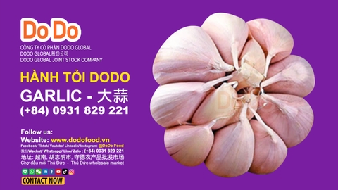 China Garlic Export Overview and Analysis