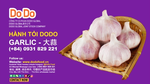 中国大蒜季节- Chinese garlic season