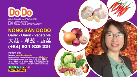ABOUT DODO FOOD