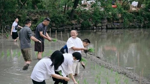 Jack Ma trồng lúa ở Hàng Châu Trung Quốc
