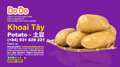 Potato Benefits