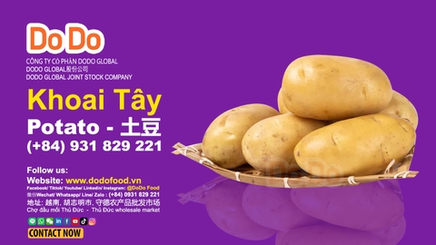 Khoai tây giá tốt Tháng 12, 2025 | Mua ngay