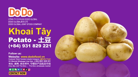 Fresh Yellow Potatoes From China-High Quality Export Product