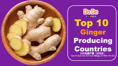 Top 10 ginger-producing countries
