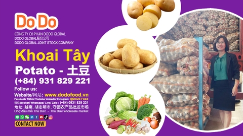 Khoai tây giá tốt Tháng 6, 2026 | Mua ngay