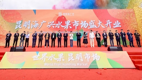 昆明水果市场28日开业-Kunming Fruit Market Opens on the 28th