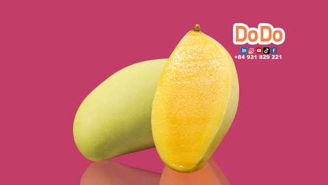 越南芒果出口-  Vietnam Mango Export