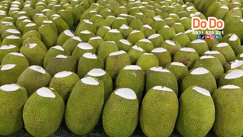 Mít thái xuất khẩu