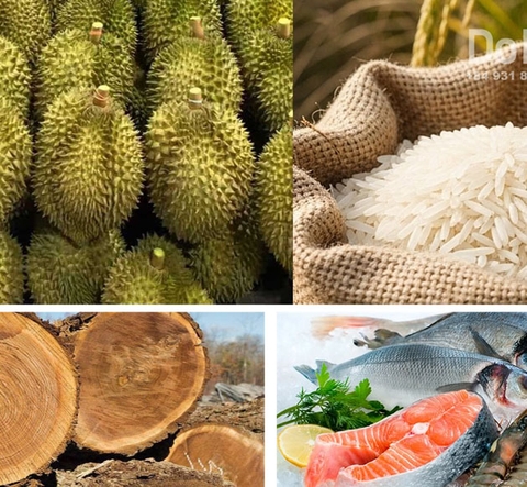 Xuất nhập khẩu nông sản Việt nam quý 2 năm 2025