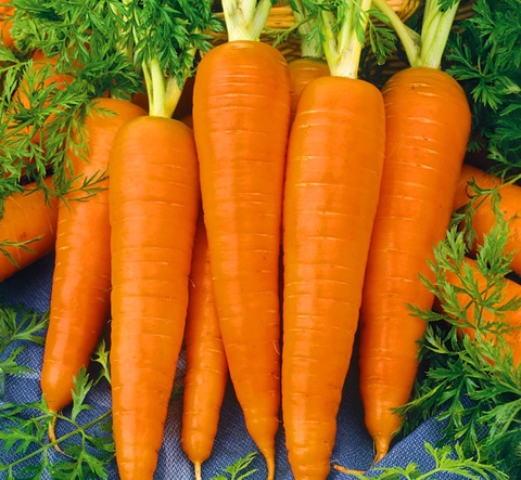 Cách sử dụng cà rốt phổ biến nhất