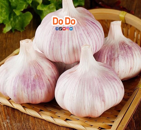 Cách sử dụng tỏi trong ẩm thực và sức khỏe