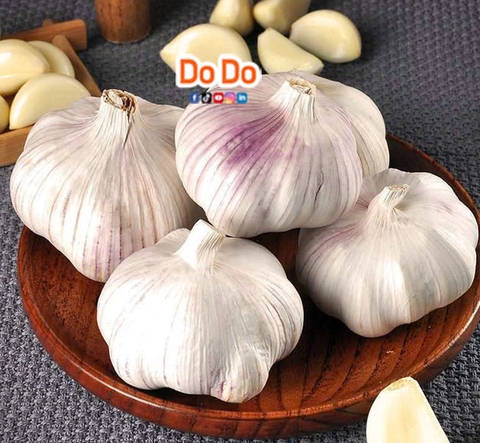 6 loại tỏi phổ biến ở Việt Nam