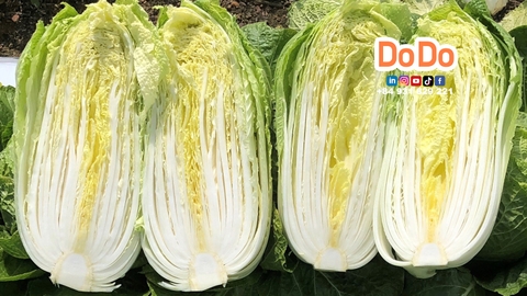 Cách chế biến cải thảo đơn giản và ngon nhất