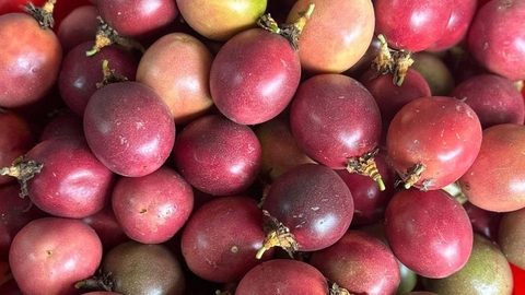 Passion fruit benefits