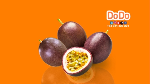 Vietnam Passion Fruit Export Success Story