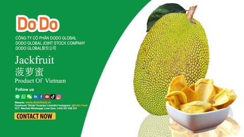 Vietnam's Rising Jackfruit Export Industry