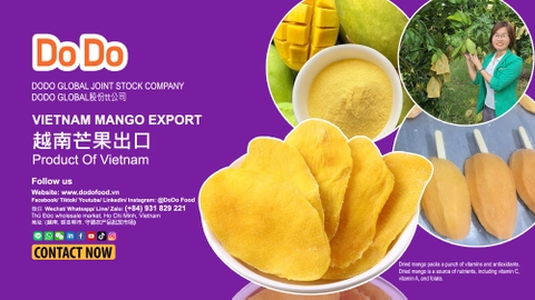 Vietnam Mango Export Industry Overview