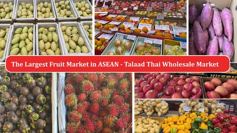 The Largest Fruit Market in ASEAN - Talaad Thai Wholesale Market  | Thailand