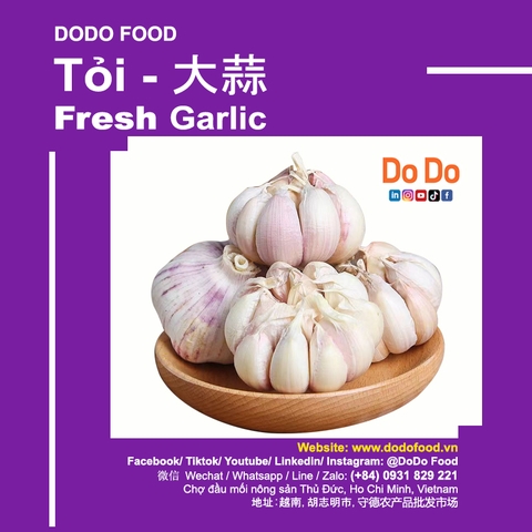 China Garlic: Global Giant in Agriculture