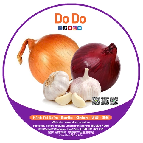 越南从中国进口大蒜洋葱蔬菜分析