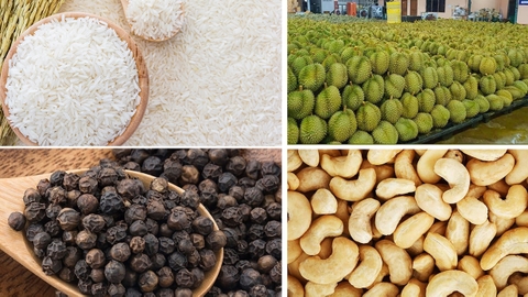 越南农产品进出口贸易分析 - Vietnam's agricultural product import and export trade