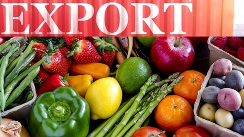 Nông sản Việt trước ngưỡng cửa hội nhập: Hành trình khẳng định vị thế và câu chuyện từ DODO FOOD