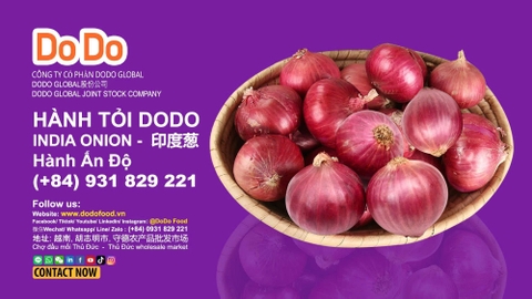 Hành Ấn Độ – “người chơi lớn” trong bức tranh nông sản Việt Nam