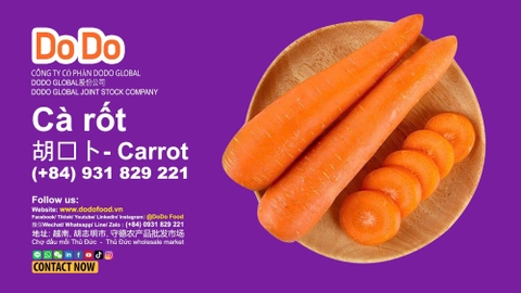 🥕Cà rốt nhập khẩu: Xu hướng mới trong chuỗi cung ứng nông sản lạnh Việt Nam