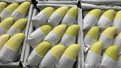 Vietnam exports mango