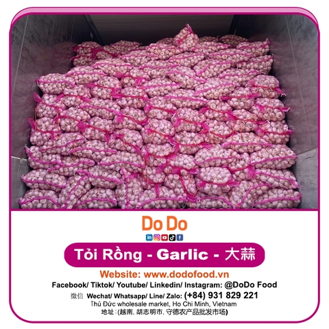 Tỏi Rồng