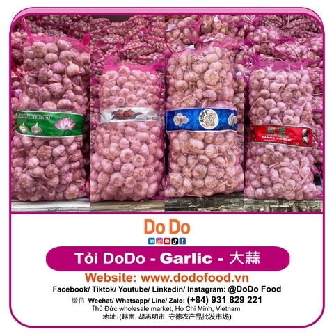 Chinese Garlic Export- 中国大蒜出口