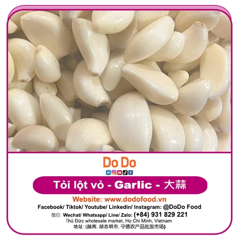 Frozen Peeled Garlic Vietnam