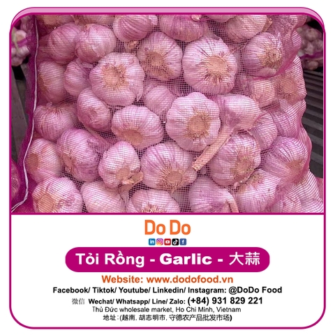 Tỏi Rồng