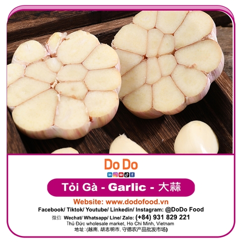 Tỏi Gà - DoDo Food