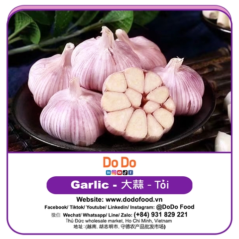 Tỏi xô