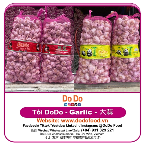 Chinese Garlic Export- 中国大蒜出口