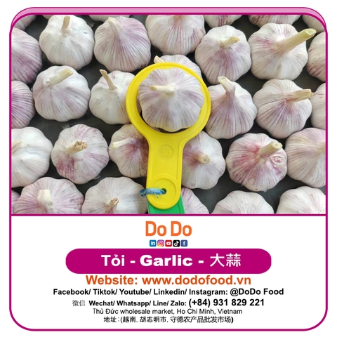 Tỏi rồng đỏ