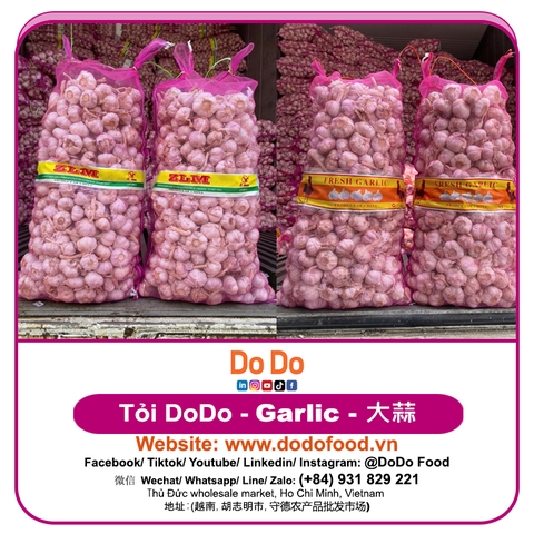 Chinese Garlic Export- 中国大蒜出口