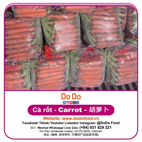 Carrot importing- 胡萝卜进口 | DODO FOOD
